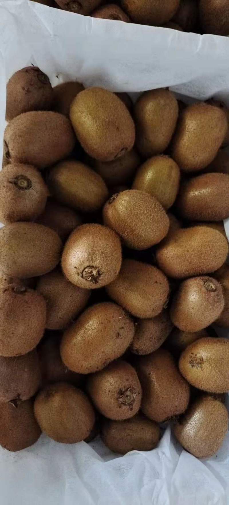 徐香小果