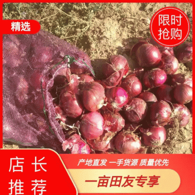 陕西定边紫皮洋葱大量上市，欢迎采购，质量上乘，货发全国