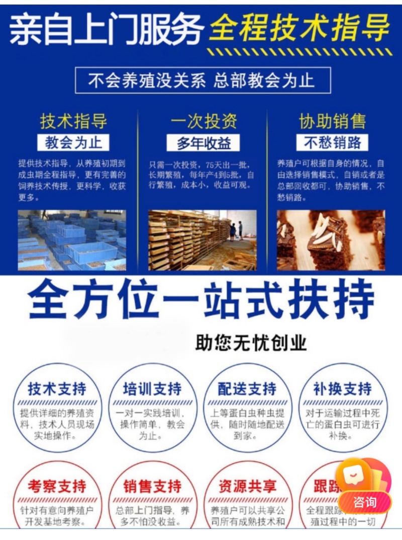 优质蛋白虫养殖包教包会，后期全程技术跟踪，签合同