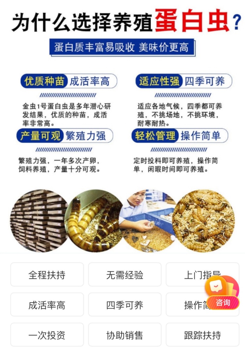 优质蛋白虫养殖包教包会，后期全程技术跟踪，签合同