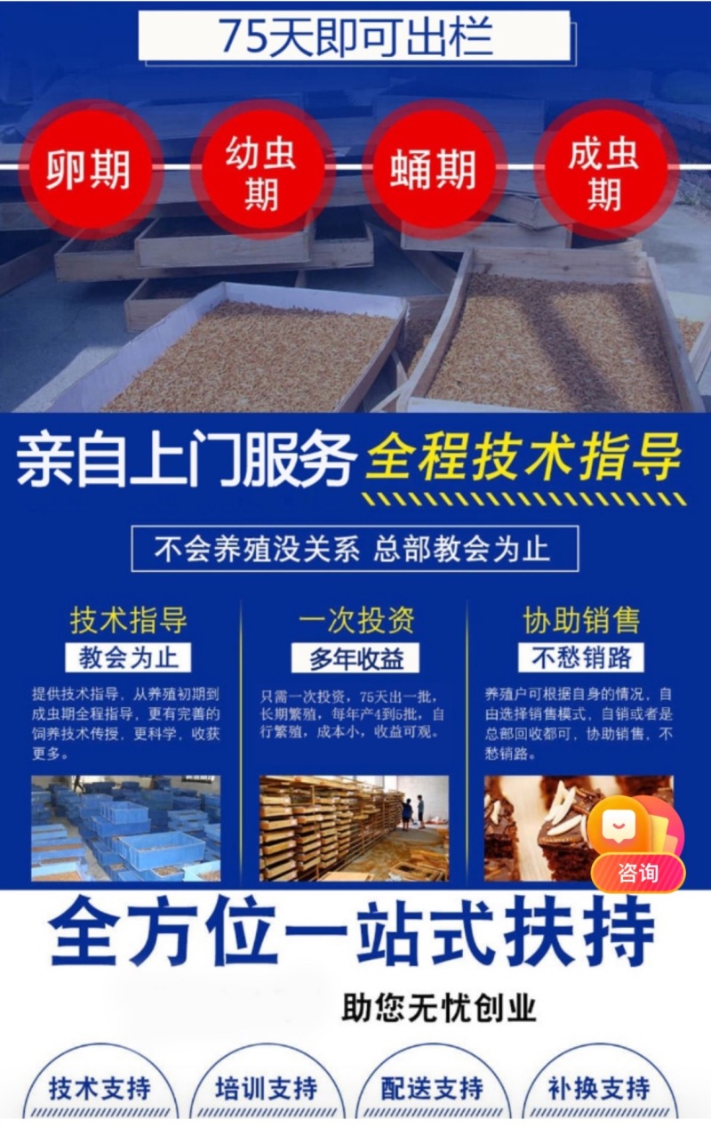 优质蛋白虫养殖包教包会，后期全程技术跟踪，签合同