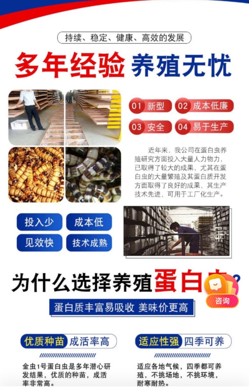 优质蛋白虫养殖包教包会，后期全程技术跟踪，签合同