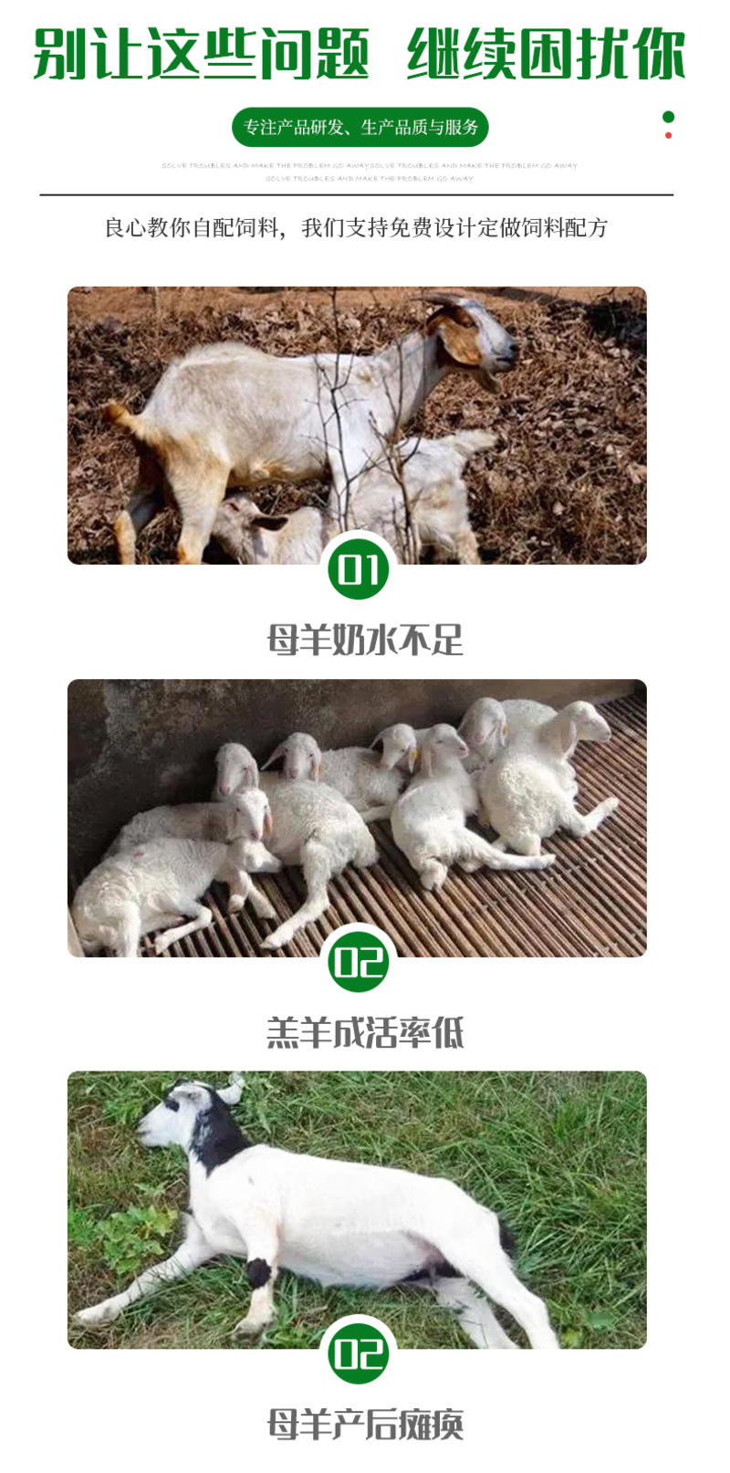 哺乳母羊预混料母羊饲料营养均衡的大厂家养羊饲料