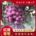 河北饶阳产地发货，红提葡萄代购代销一次合作，终身朋友。