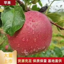 大凉山盐源高山冰糖心红将军苹果货源充足质量保证