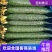 山东密刺黄瓜干花带刺，小中条，精品电商货，对接全国市场商超等