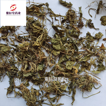 紫花地丁紫花地丁地丁产地山东省地道药材紫轩堂药业
