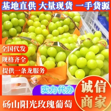 安徽阳光玫瑰葡萄,口感纯甜,产地直发,质量保证,一条龙服务!
