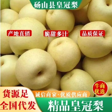 砀山皇冠梨、脆甜可口多汁,皮薄肉厚、产地直销、一条龙服务!