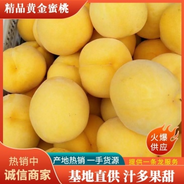 安徽优质黄金蜜桃,基地直供,汁多果甜,价格优惠,欢迎咨询!