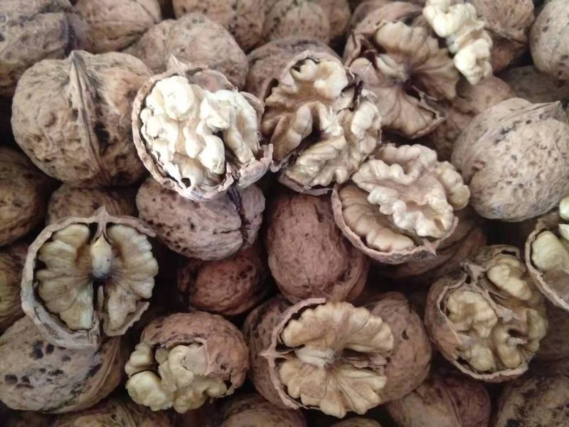 【包邮】云南大麻子薄皮核桃2021新果供应（自然果）