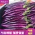 优选茄子🍆烧烤茄🍆红线茄🍆红金刚756🍆代发全国