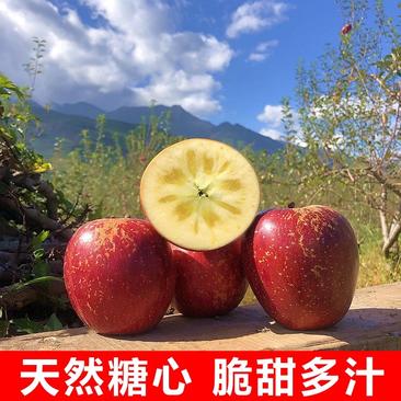 新疆阿克苏冰糖心苹果，质量保证，果园直发