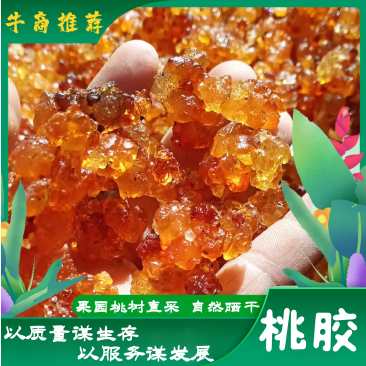 【优质】桃树原胶，果园自采，自然晒干品质保证欢迎咨询