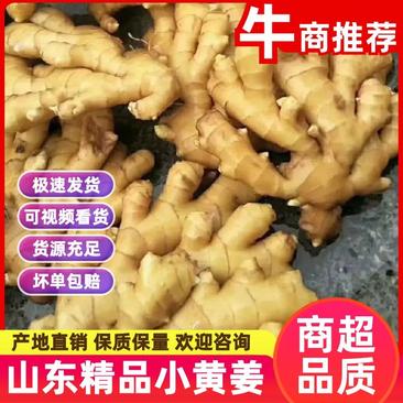 【生姜】山东小黄姜产地直销货源充足常年供应全国发货