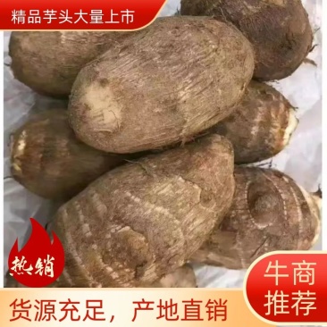 新鲜芋头芋头8520大量上市，产地直发保质保量