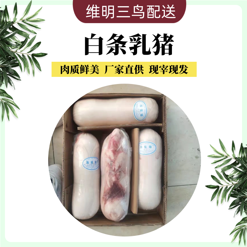 乳猪广东精品乳猪厂家直供餐饮专供诚信经营欢迎联系