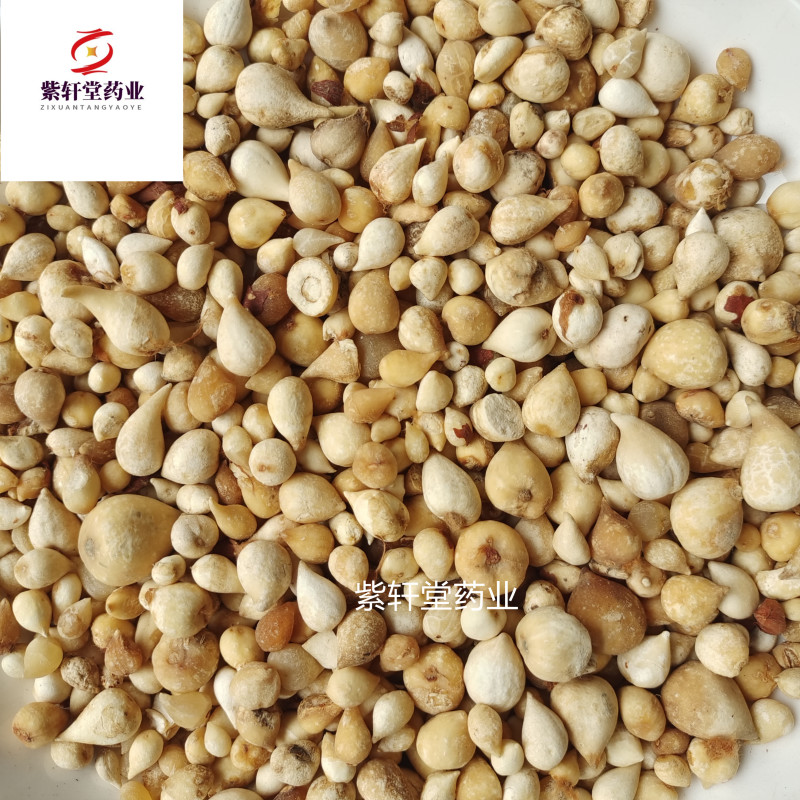 光慈菇光山慈菇山慈菇冰球子紫轩堂药业