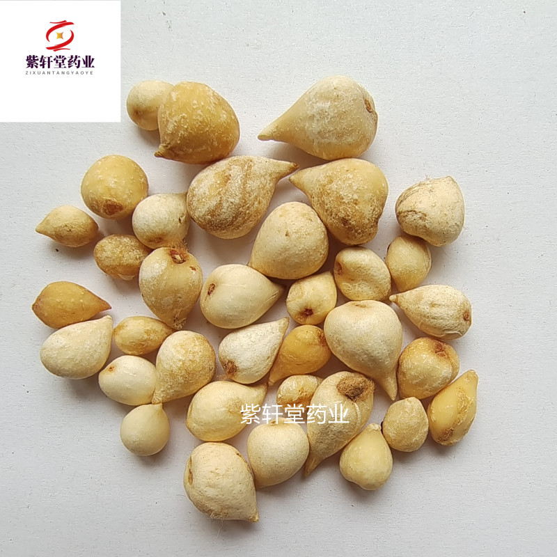 光慈菇光山慈菇山慈菇冰球子紫轩堂药业