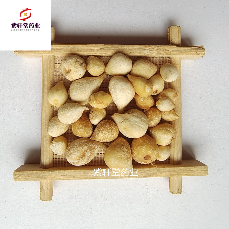 光慈菇光山慈菇山慈菇冰球子紫轩堂药业
