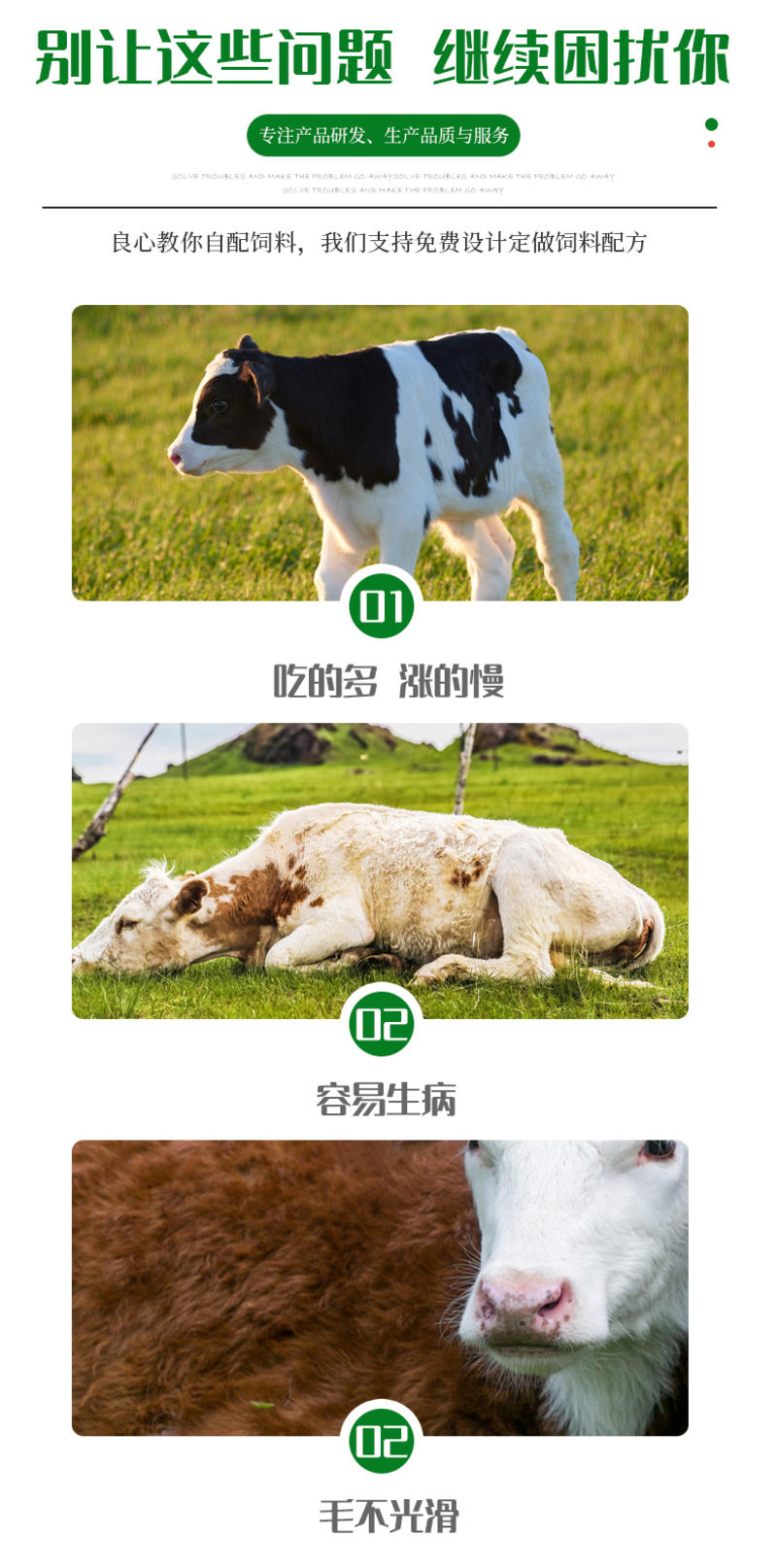 围产期4%奶牛预混料产奶预混料奶牛饲料大厂家优供