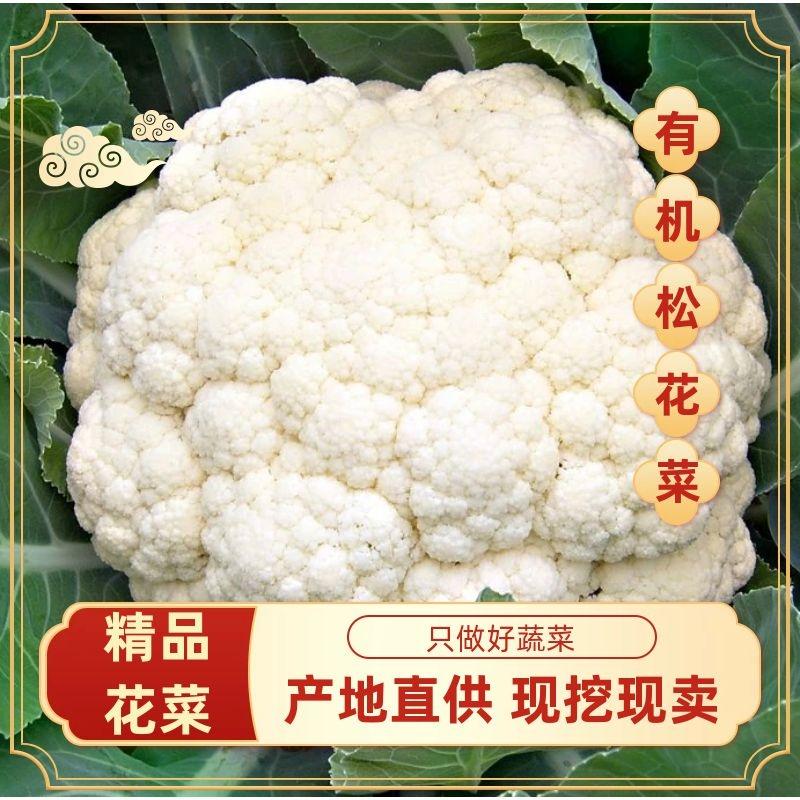【实力】有机花菜青梗白面小米粒商超品质真实报价