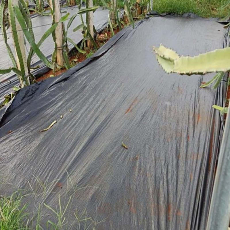 防草布pe100克除草布果园盖草布厂家