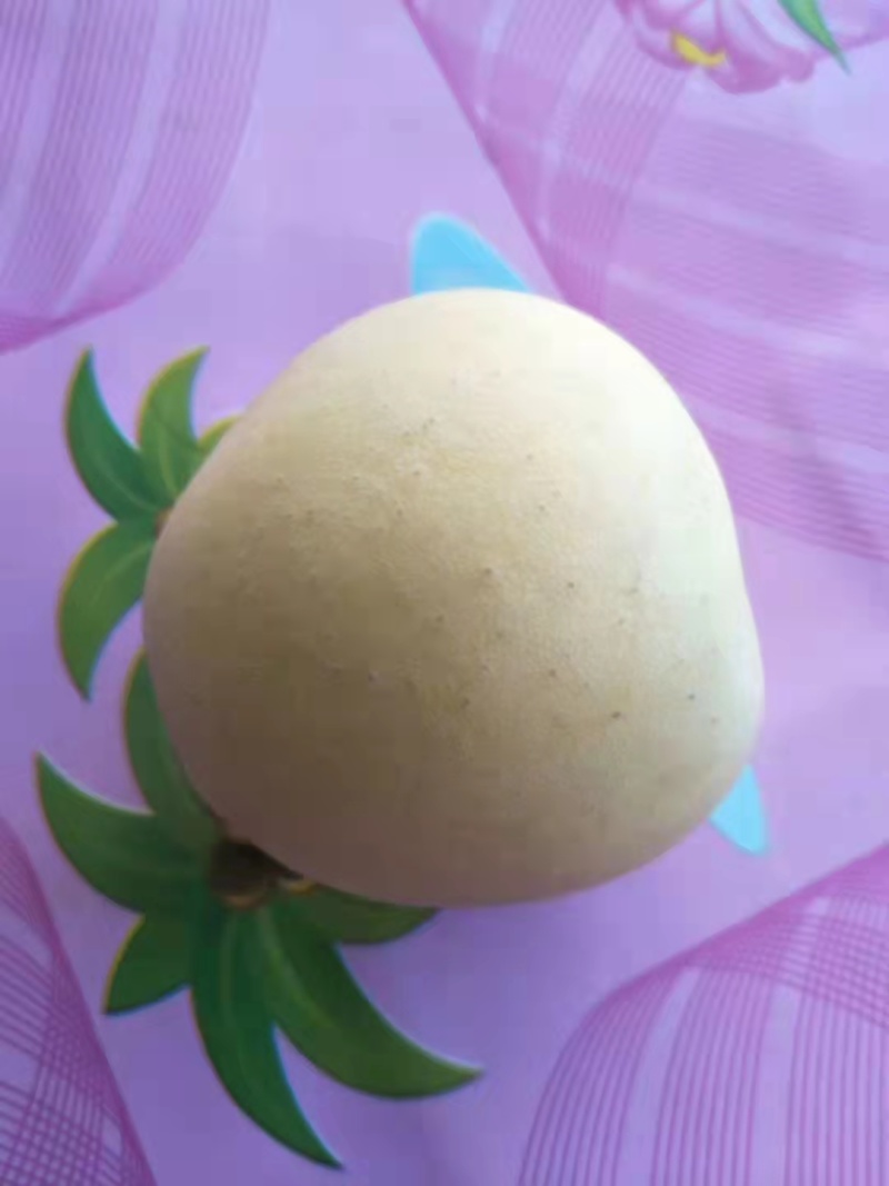 瓦房店黄元帅苹果，基地直供，现摘现发，货源稳定供货全国
