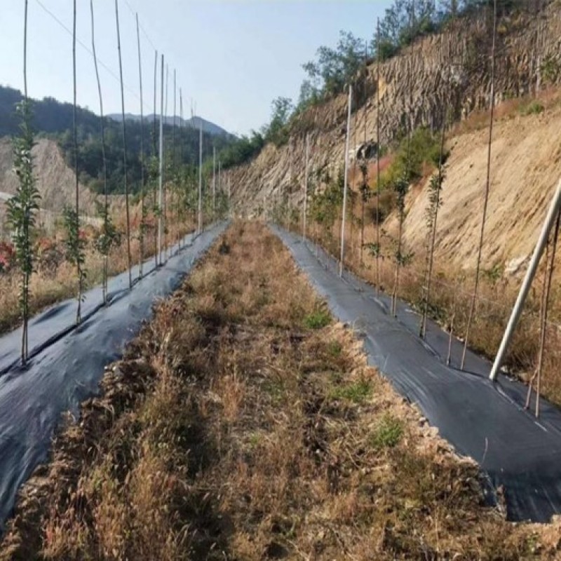 90克果园除草布防草布厂家盖草布价格防草布一亩地