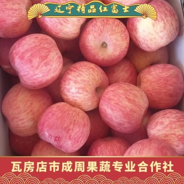 瓦房店红富士苹果，果园现摘现发，品相好价格优，供货全国