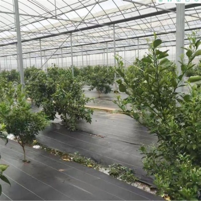 pe防草布地钉pp防草布除草布园艺地布黑色盖草布