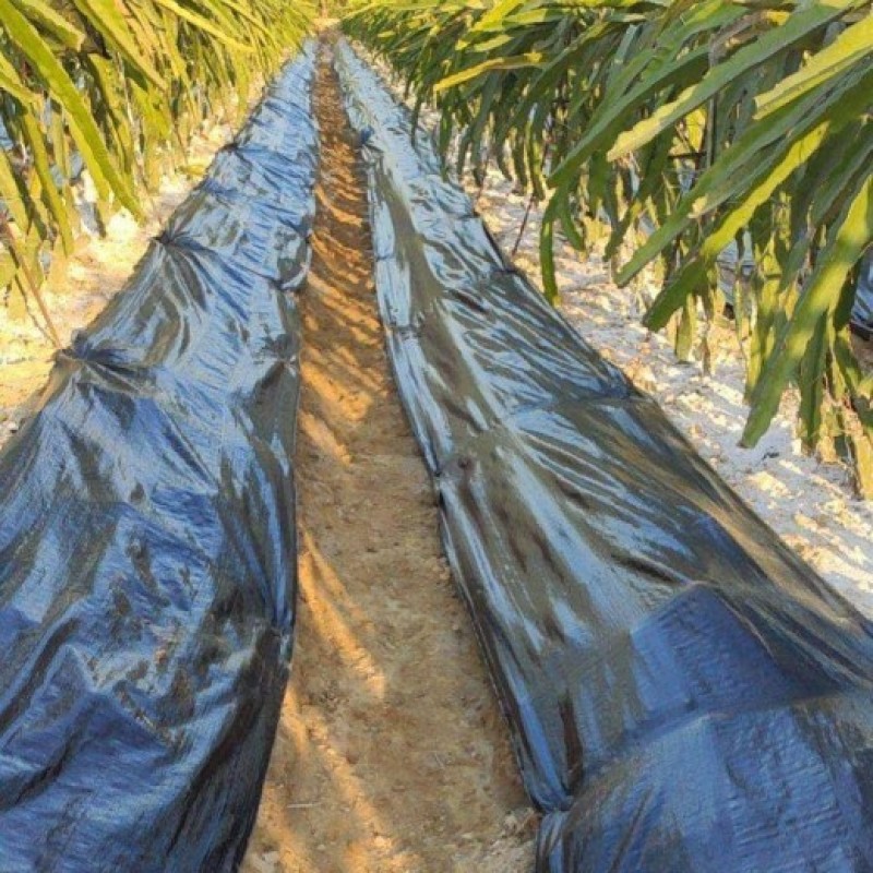 大棚90克除草布园艺地布pe防草布厂家茶园盖草布