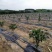 盖草布防草地布除草地布园艺地布防草布价格厂家