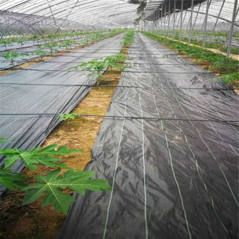 盖草布防草地布除草地布园艺地布防草布价格厂家