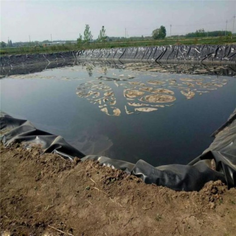 黑膜蓄水池防渗膜养殖场沼气池土工膜厂家防渗膜价格