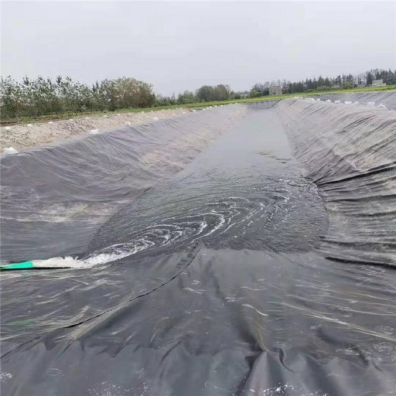 鱼塘防渗膜黑色hdpe土工膜厂家蓄水池防渗膜价格