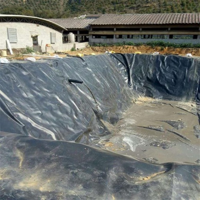 鱼塘防渗膜黑色hdpe土工膜厂家蓄水池防渗膜价格