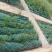 护坡生态袋无纺布袋防汛防洪园景观生态袋厂家