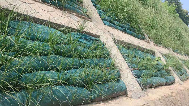 生态袋草籽土工布袋护坡草籽袋厂家生态袋价格