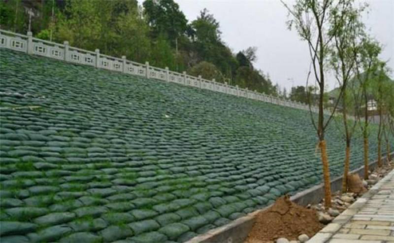长丝生态袋厂家草籽生态袋价格土工布袋涤纶生态袋