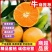 【蜜橘】柑桔内江蜜桔入口化渣现摘现发保质保量欢迎选购