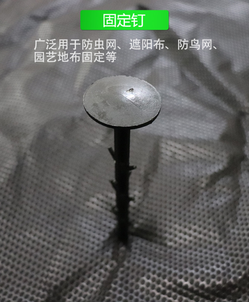 大棚地膜钉农田黑色防草布地钉厂家园艺地布地钉价格