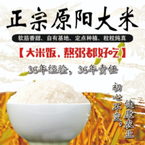 原阳县精选大米，以质量求存，厂家直发价格，欢迎