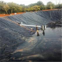 鱼塘护坡20丝防渗土工膜生产厂家水产养殖防渗土工膜价格