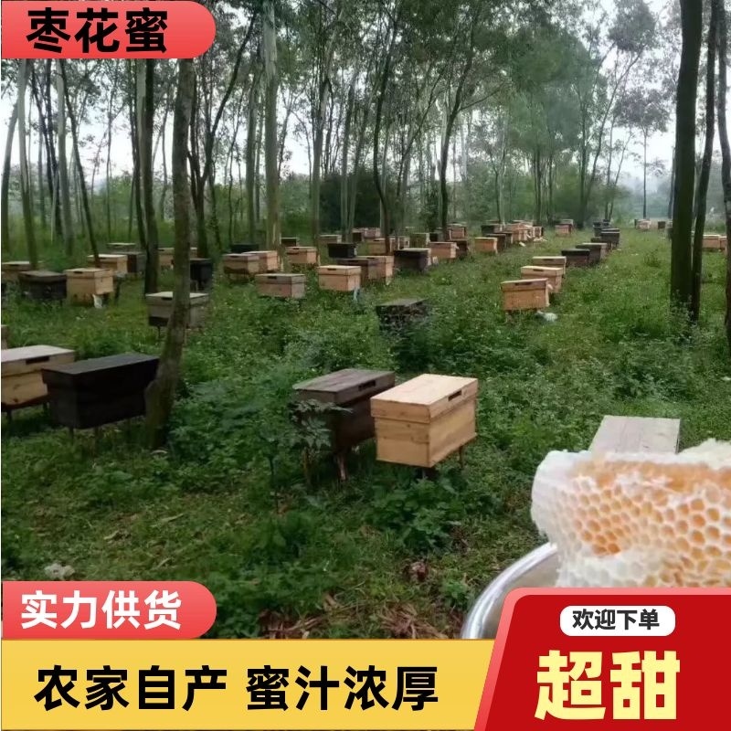 新鲜蜂蜜枣花蜜农民自产，支持一件代发包邮，送礼