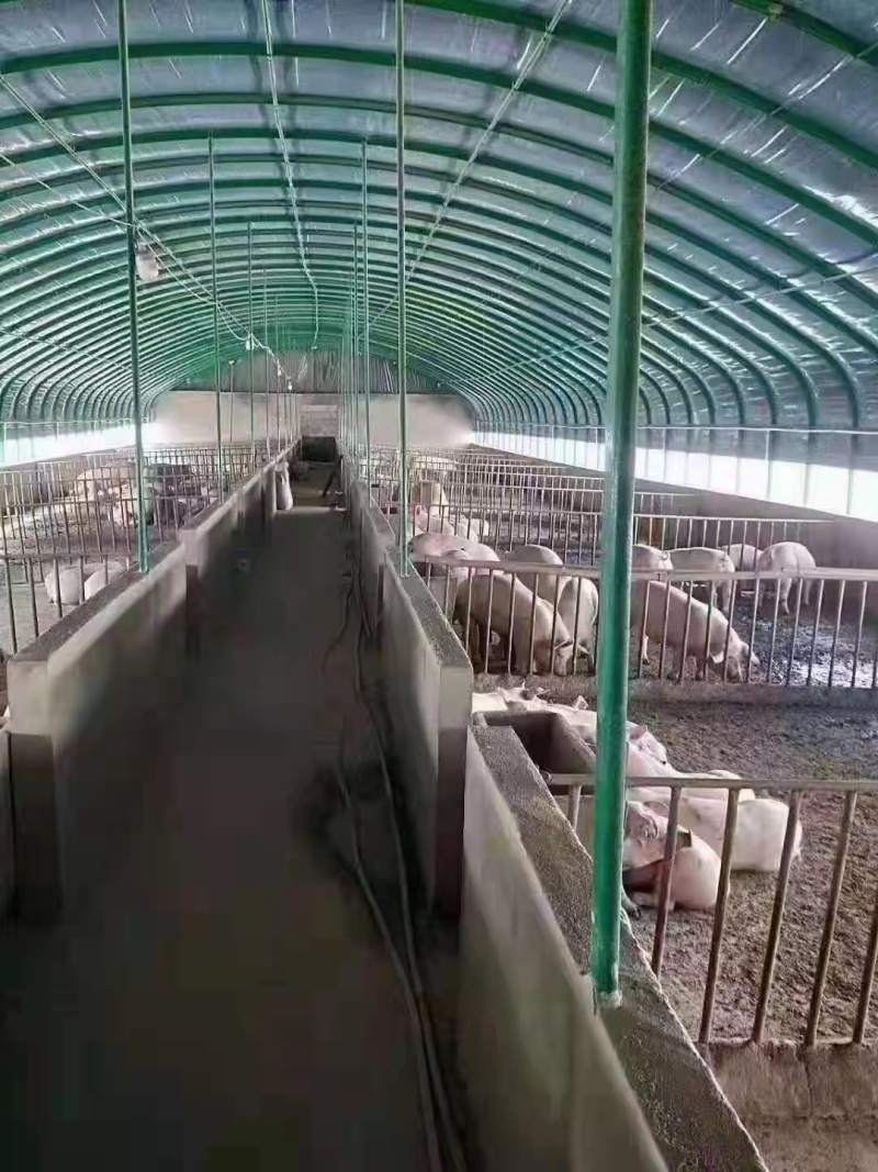 大棚管厂家直销尺寸可定制防锈钢管钢架质量保证