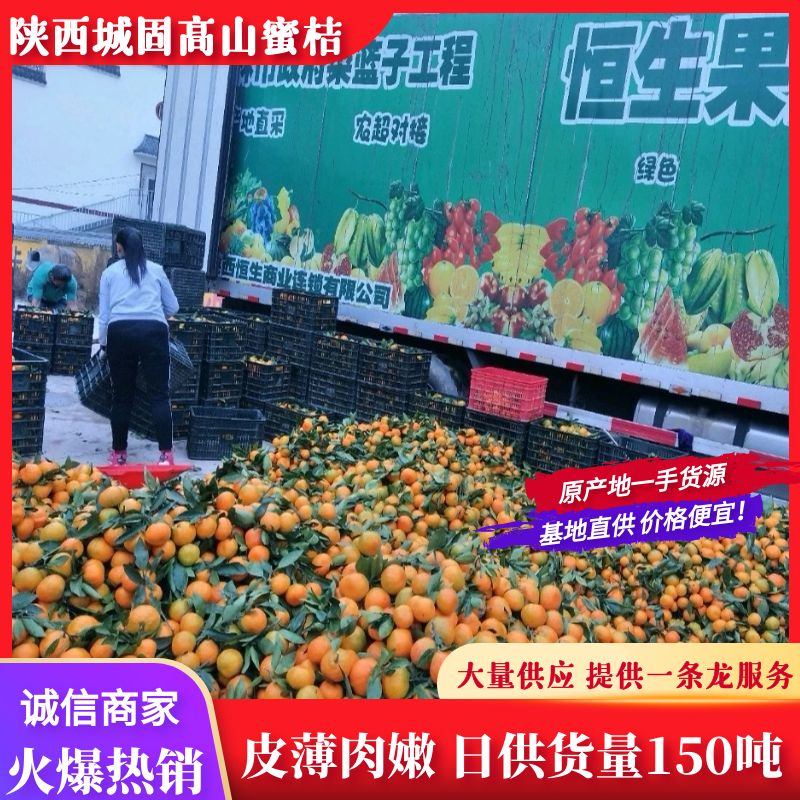 汉中城固高山密桔，皮薄光亮，入口化渣价格随行就市