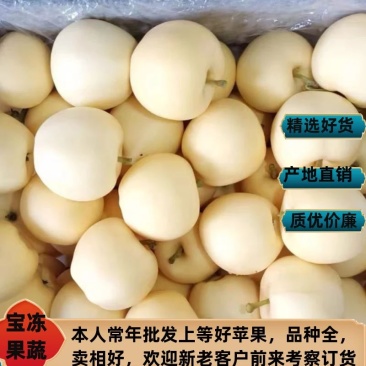 绥中黄元帅苹果，个头均匀，这几天价格有所下滑，需要的联系