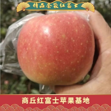 虞城红富士苹果大量上市，有充足货源供应，需要联系，坏果包