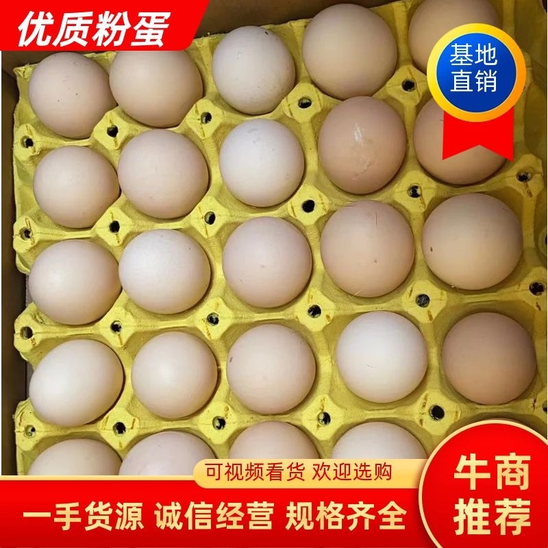 常年有粉蛋，河北优质鸡蛋蛋品优质货源充足让您采购放心